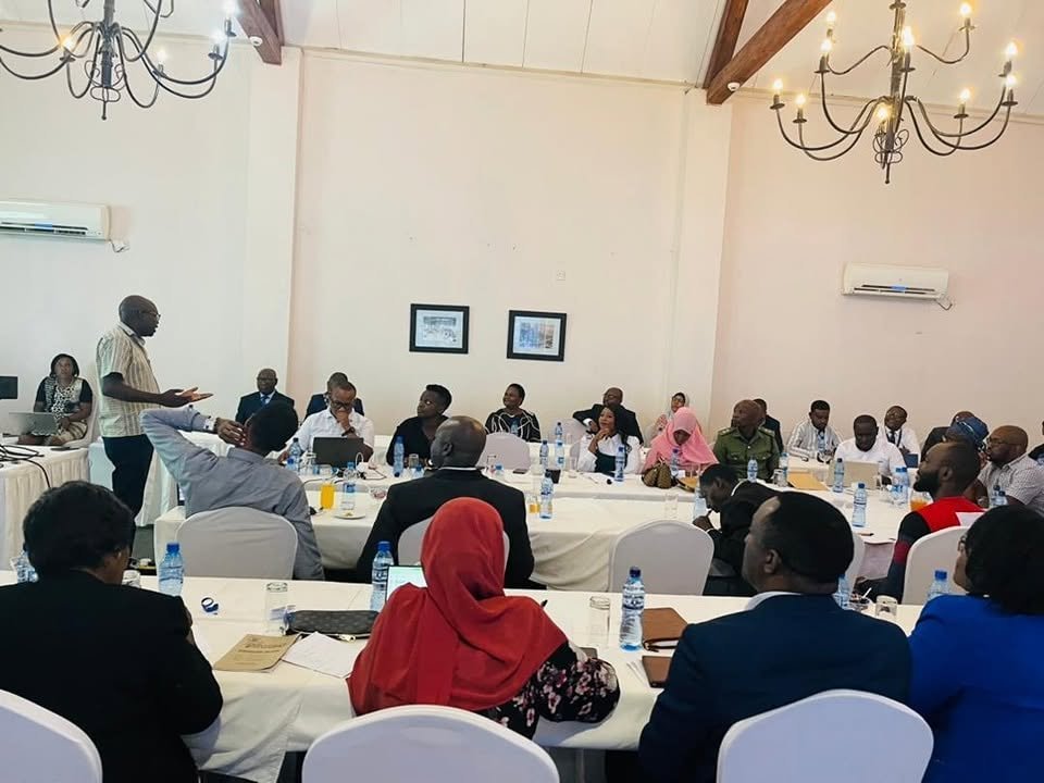 DEYR Chairman Attends African Youth Summit in Zambia