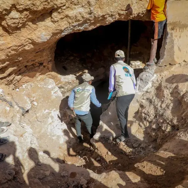 Climate & Environmental Action